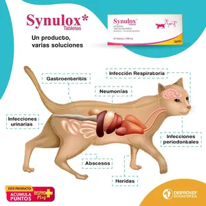 Farmacia Veterinaria Maipu