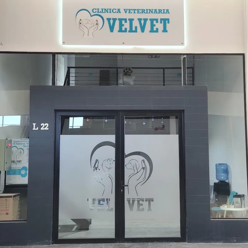 Veterinaria VelVet