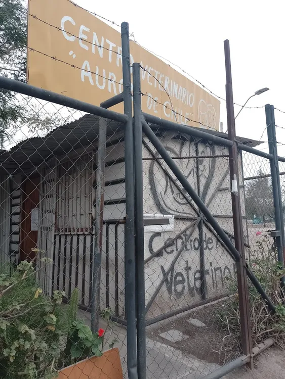 Centro veterinario Aurora de Chile